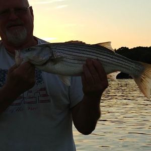 Meet your Posher, Terry